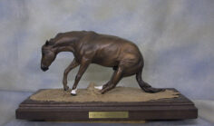 Quarter Horses