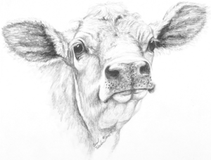 SPECIALIZING IN LIVESTOCK AWARDS, TROPHIES, BREED PROMOTION