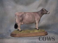 Brown Swiss Cow