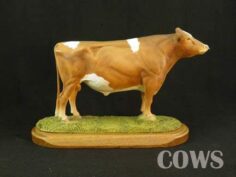 Guernsey Bull