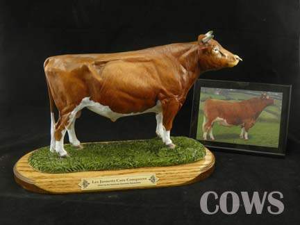 Guernsey Bull - Image 2