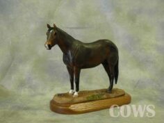 Horses