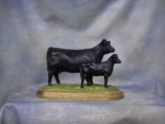 Angus Cow & Calf
