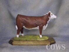 Herefords