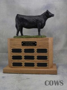 Trophy gallery