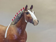 Draft Horses