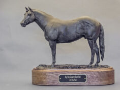 Quarter Horse