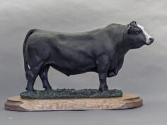 Simmental