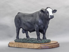 Simmental