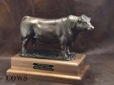 Beef Bull Awards