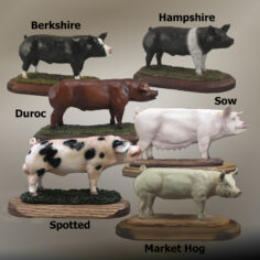 Hog Breeds