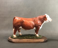 Beef Cattle