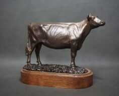 Other dairy breeds Heifer