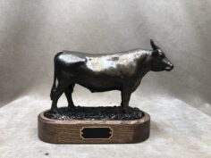 Wagyu