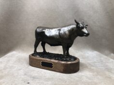 Wagyu