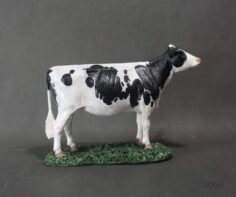 Holstein Heifer