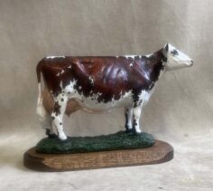 Other Dairy Cow breeds