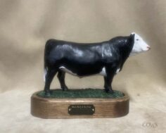 Black Hereford