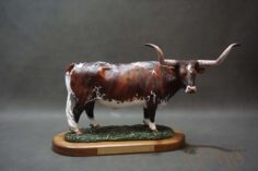 Longhorn