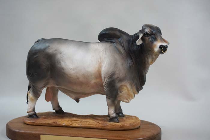 Beef Breeds Portrait color