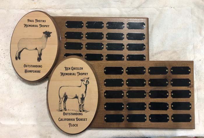 Plaque Awards - Image 2