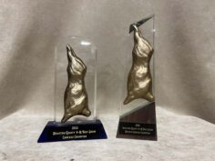 Carcass awards 3D