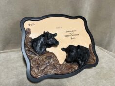 buckle shaped plaque