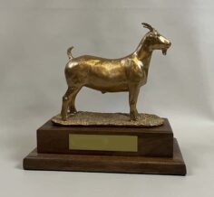 G.O.A.T. award
