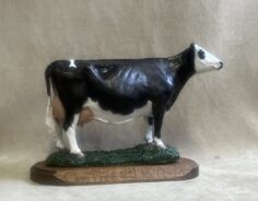 Other Dairy Breeds