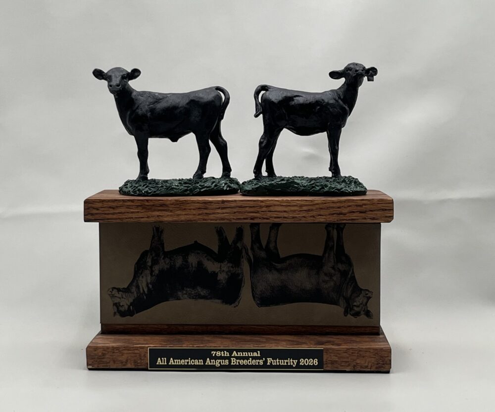 Perpetual Tower Trophy - Image 9