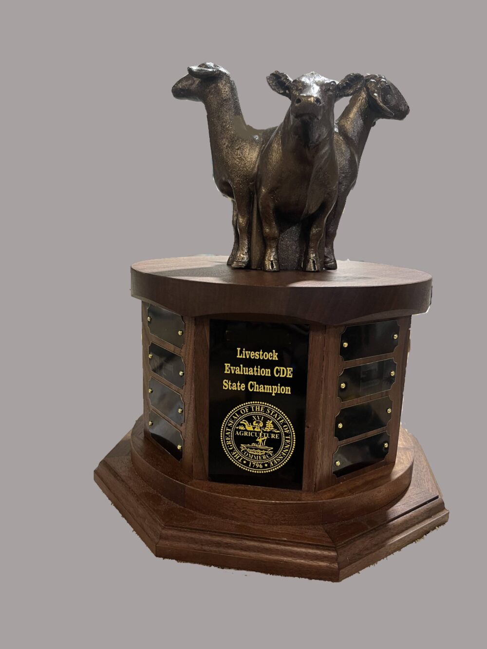 Judging Team Awards - Image 2